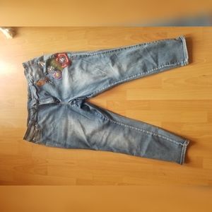 Plus Size Jean with Embroidery Detail
